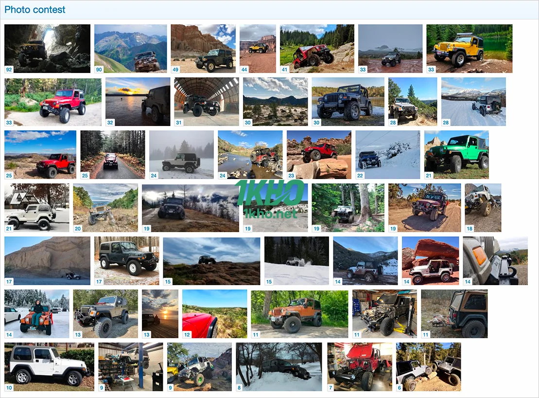 Andy Photo contest-1.webp