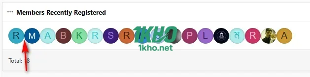 Improved Member Stats Widgets-1.webp